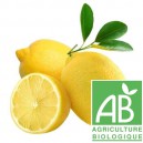 Citron jaune bio